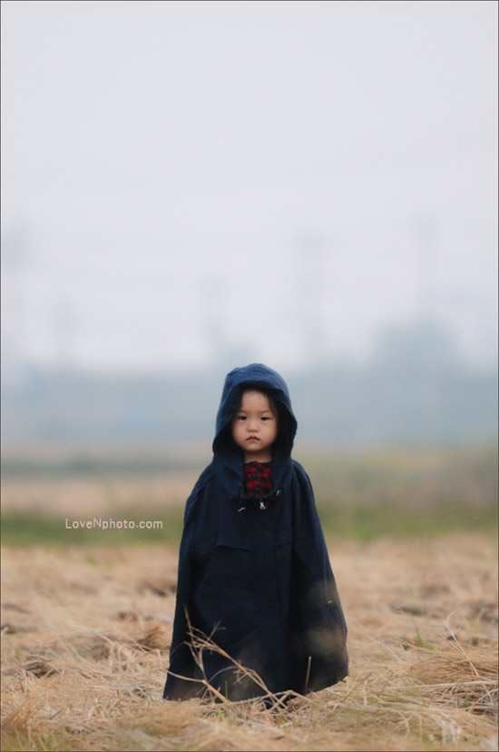 강진여수