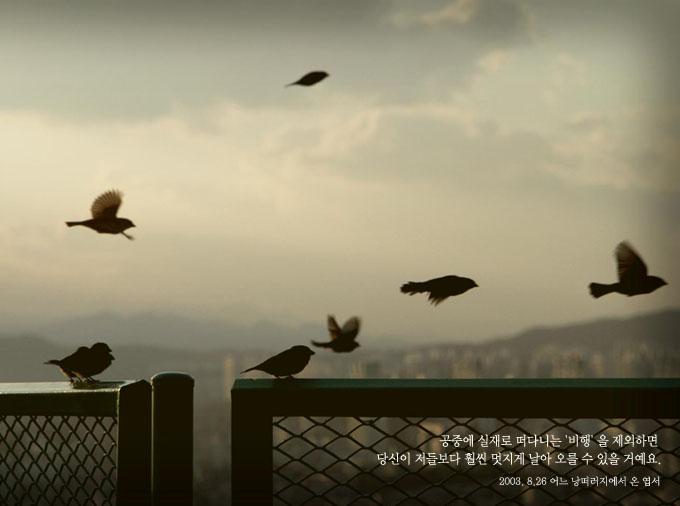 공중에 실제로 떠다니는