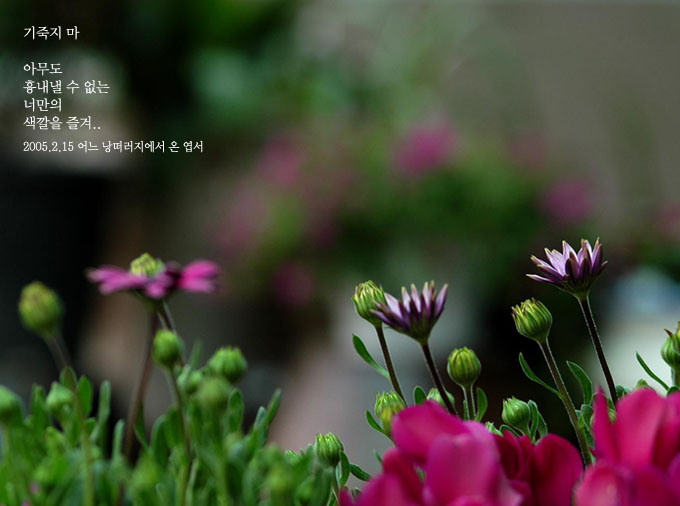 기죽지 마