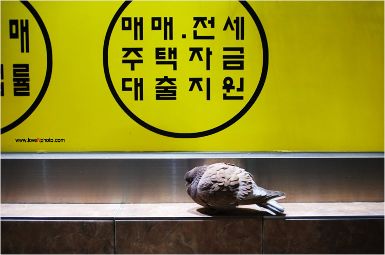 친구