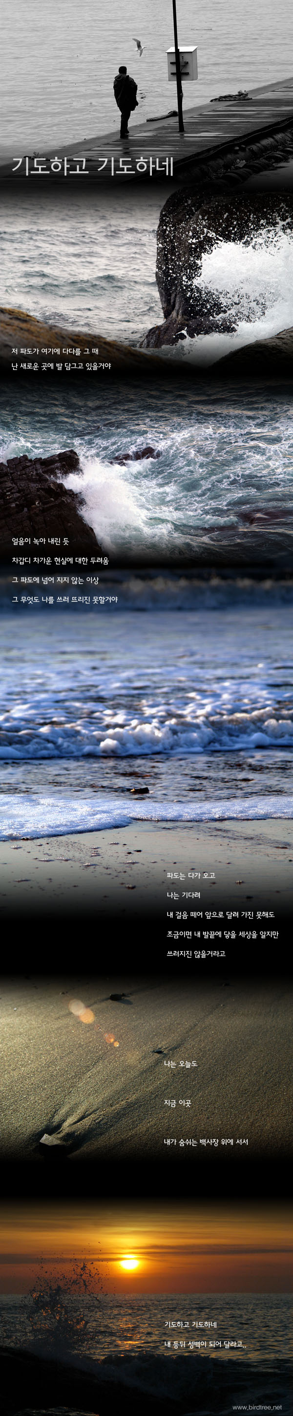 기도하고 기도하네
