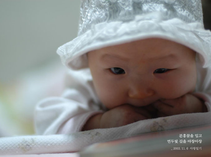 분홍 꿈을 입고