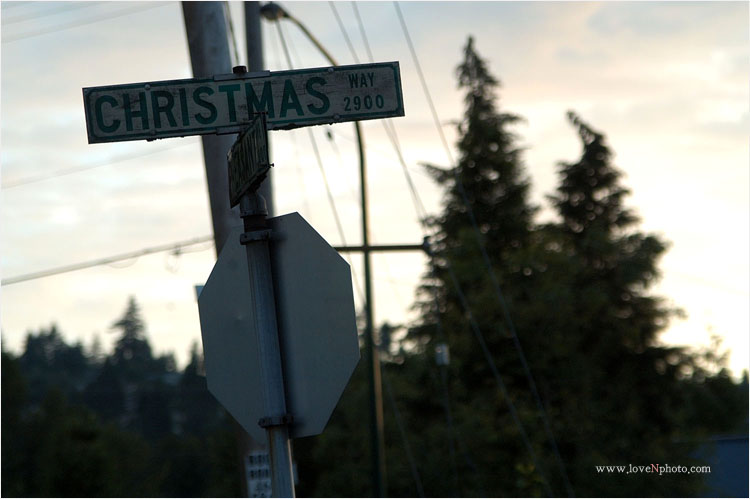 Merry Christmas