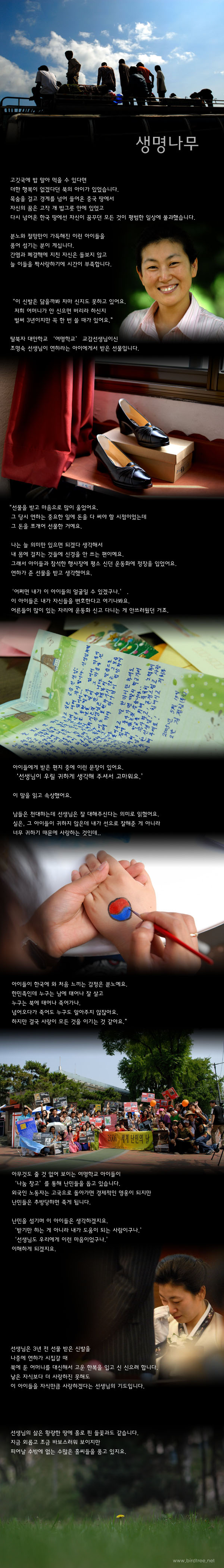 생명나무