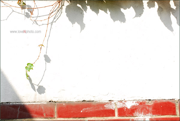 그림