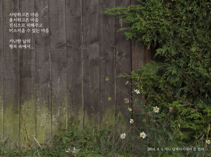 사랑하고픈 마음
