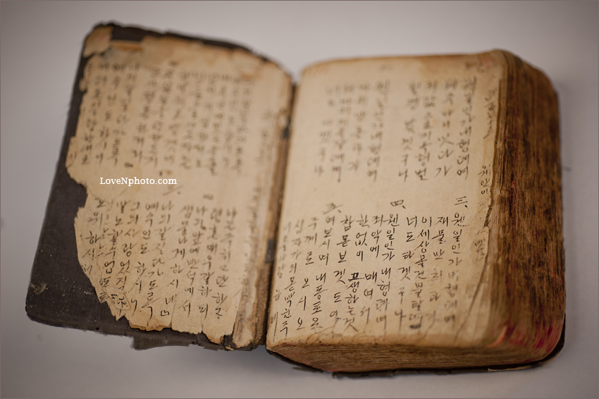 성경 한 권