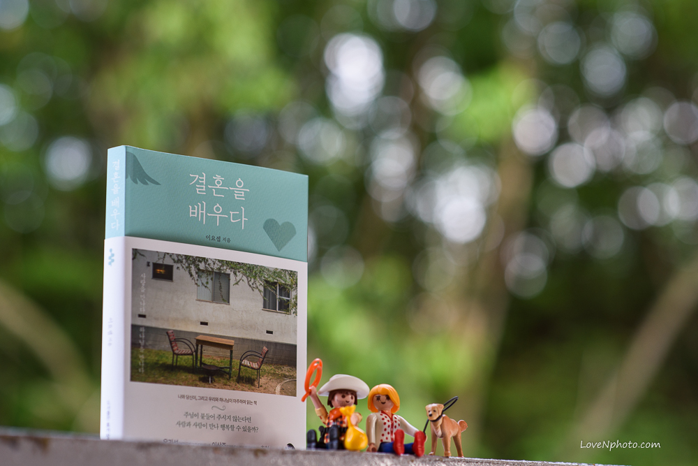책 사진