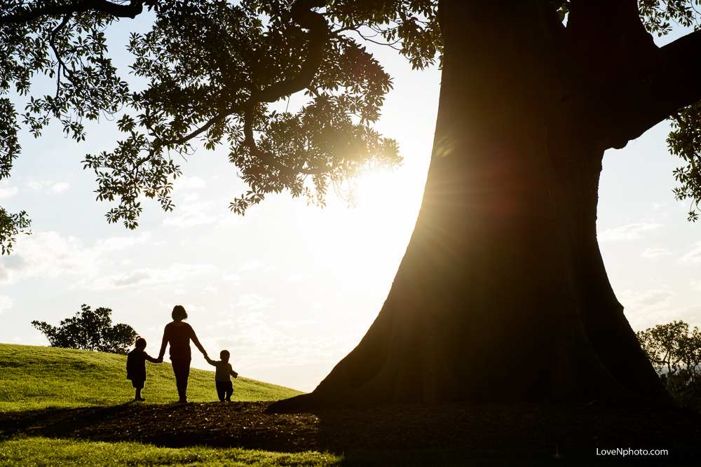 작고 작은 겨자씨