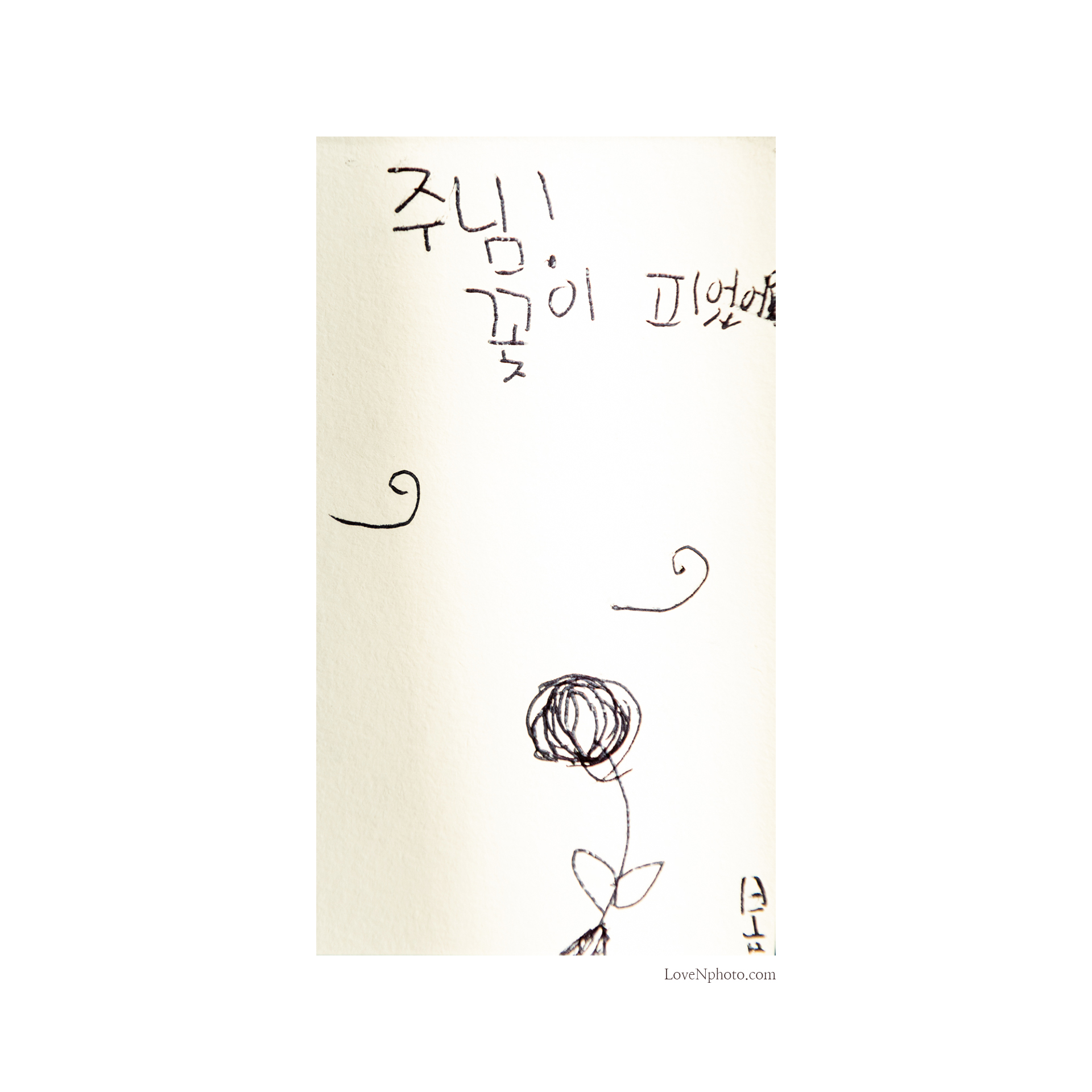 주님 꽃이 피었어요
