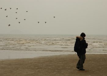 이야기하지 않는 이야기