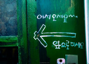 습관대로 답하는 대신,