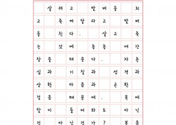 길을 비춘다