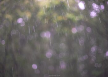 꿈쩍도 하지 않는 벽앞에