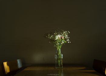 쉼과 안식