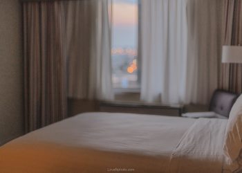 시간에 쫓기는 존재