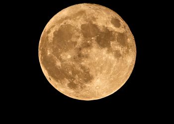 아빠 오늘 블루문이 뜬대요